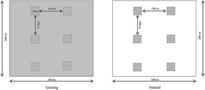 Comparative Floral Characters, Pollinator Limitation, and Pollination Success in Different Habitats of Caragana microphylla Lam